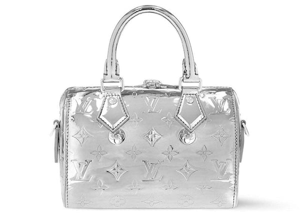 Louis Vuitton Speedy Bandouliere 20 Argent