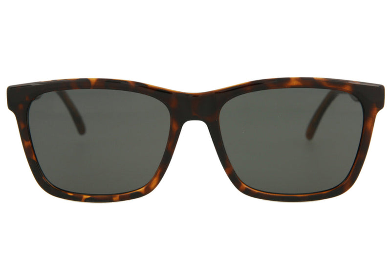Lunettes de soleil à monture rectangulaire injectée Saint Laurent Havane/Gris 