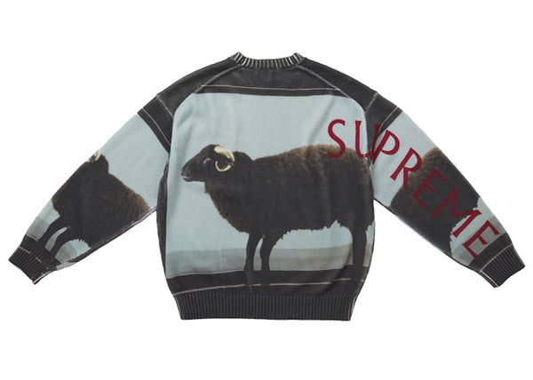 Supreme Damien Hirst Sweater Black