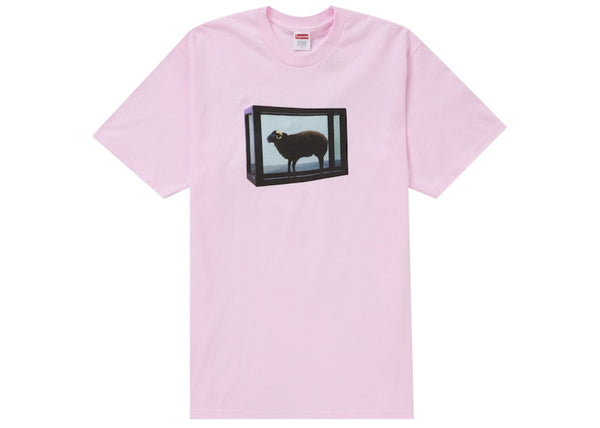 Supreme Damien Hirst Tee Light Pink