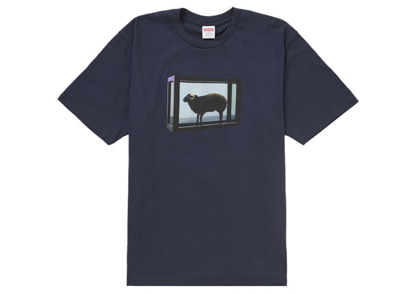 Supreme Damien Hirst Tee Navy