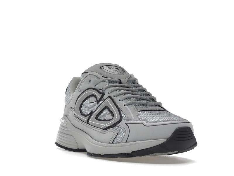 Dior B30 Gris