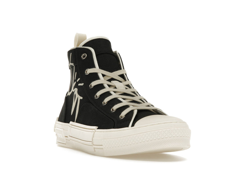 Dior B23 CACTUS JACK Noir