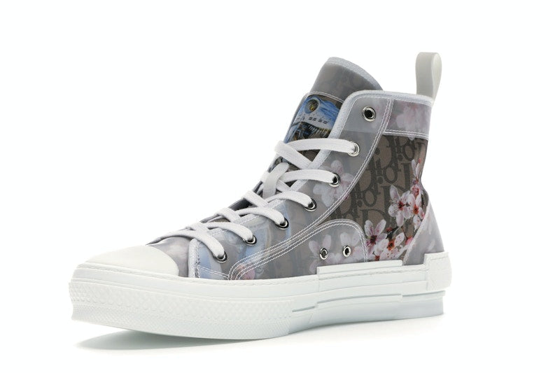 Dior B23 High Canvas Sorayama Dinosaure Marron
