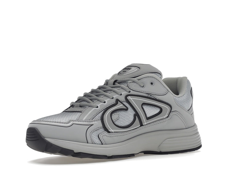 Dior B30 Gris