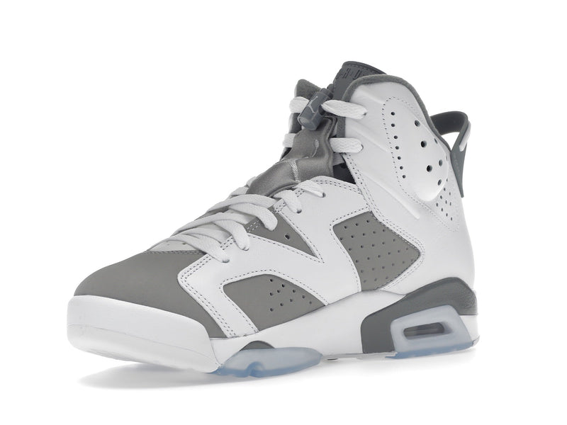 Jordan 6 Retro Gris Froid