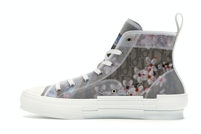Dior B23 High Canvas Sorayama Dinosaure Marron