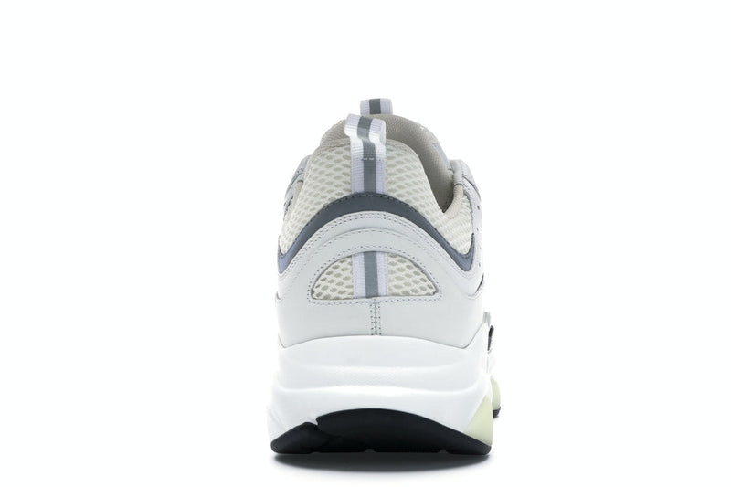 Dior B22 Blanc Argent