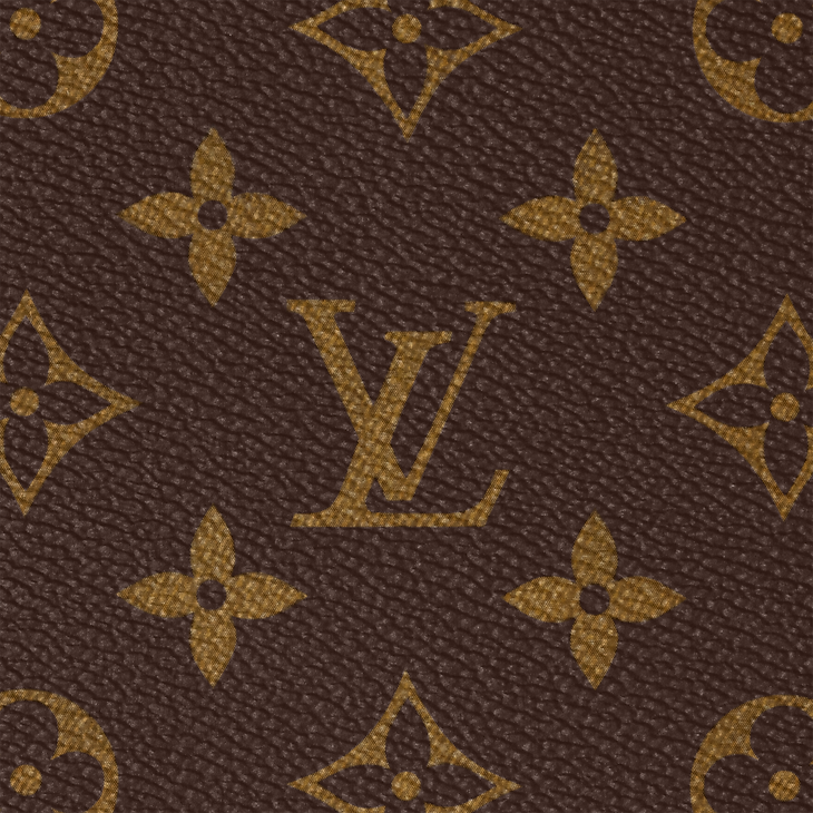 Louis Vuitton Horizon 55 Monogram Marron